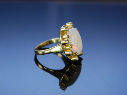 Exclusively Elegant! Aparter Ring Gelbgold 585 Opal...