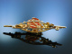 Kesser Glckskfer! Brosche Gold 585 Koralle um 1950 vintage brooch