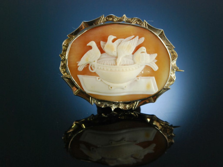 Antike Gemmen Brosche Kamee Gold 375 Tauben des Plinius cameo brooch Rom um 1840