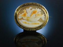 Tauben des Plinius! Antike Gemmen Brosche Kamee Pinchbeck England um 1850