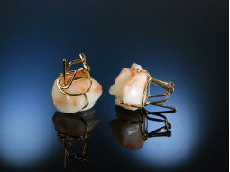 Exquisite Ohrringe Engelshaut  Koralle Rosen Gold 585