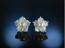 Ohrringe Wei&szlig; Gold 585 Zuchtperlen Perlmuttbl&uuml;te 