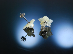 Ohrringe Wei&szlig; Gold 585 Zuchtperlen Perlmuttbl&uuml;te 