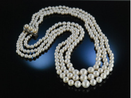 Feinstes Perlencollier Akoya 3reihig Wei&szlig; Gold 585 Saphire 