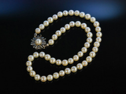 Klassische Akoya Zuchtperlenkette Gold 585 Saphire Perlenkette feine Qualit&auml;t