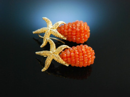 Shiny Orange Sea Stars! Ohrringe Silber 925 vergoldet...