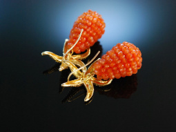 Shiny Orange Sea Stars! Ohrringe Silber 925 vergoldet...