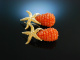 Shiny Orange Sea Stars! Ohrringe Silber 925 vergoldet Karneol