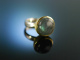 Edles Blau! Ring Silber 925 vergoldet Labradorit Cabochon 