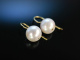 White Pearls! Ohrringe Gold 585 feine Zuchtperlen