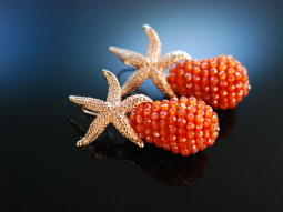 Red Sea Stars! Seestern Ohrringe Silber 925 ros&eacute;vergoldet funkelnde Citrine