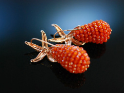 Red Sea Stars! Seestern Ohrringe Silber 925...