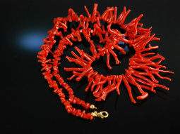 Koralle aus Torre del Greco! Gro&szlig;e Ast Korallen...