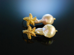 Nice Sea Stars! Seestern Ohrringe Silber 925 vergoldet...
