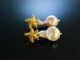 Nice Sea Stars! Seestern Ohrringe Silber 925 vergoldet barocke Zuchtperlen Tropfen