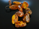 Very Big Baltic Amber! Aparte Bernstein Kette 243 Gramm Ostsee Nuggets