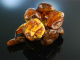 Very Big Baltic Amber! Aparte Bernstein Kette 243 Gramm Ostsee Nuggets