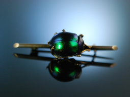 Skarab&auml;us! Antike Brosche versilbert schimmernder K&auml;fer England um 1900 Scarab Brooch