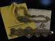 Neogotische Sch&ouml;nheit! Rares Trachten Schmuck Set &Ouml;sterreich um 1850 Kette Armband Ring Silber 835