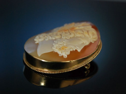 Edler Zeus! Feinste Muschel Kamee Gemmen Brosche Gold 375 Neapel um 1850 Cameo Brooch