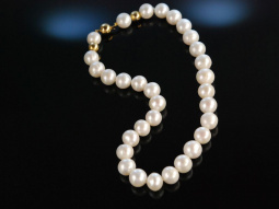 Big Pearls! Gro&szlig;e edle S&uuml;&szlig;wasser Zuchtperlen Kette Gold 585