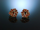 Rotes Funkeln! Schöne Böhmische Granat Ohrringe Gold 333 Garnet Earrings