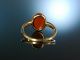 Antique Intaglio! Feiner Ring Gold 585 Roter Jaspis mit antikem Intaglio