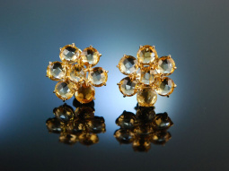 Flower Earrings! Ohrringe Silber 925 vergoldet Citrin Italian Style
