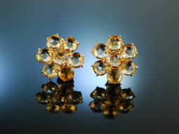 Flower Earrings! Ohrringe Silber 925 vergoldet Citrin...