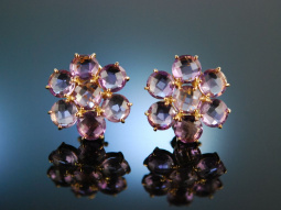 Flower Earrings! Ohrringe Silber 925 vergoldet Amethyst...