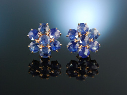 Flower Earrings! Ohrringe Silber 925 ros&eacute; vergoldet Saphire Italian Style