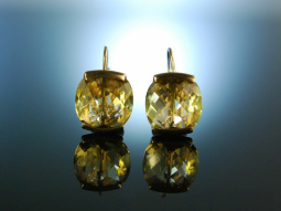 Stylish Earrings! Ohrringe Silber 925 vergoldet Lemon...