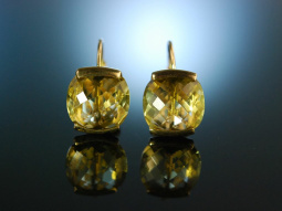 Stylish Earrings! Ohrringe Silber 925 vergoldet Lemon...