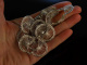 Vintage Chic! Besondere F&auml;cher Kette Silber 835 Frankfurt um 1960