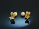 So lovely! Sternen Ohrringe Gold 585 Zuchtperlen