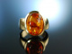 Big Baltic Amber! Hochwertiger massiver Ring Gold 585 Bernstein Cabochon wie neu!