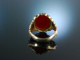 Familien Tradition! Großer Wappen Siegel Ring Silber 835 vergoldet Karneol um 1930 ungraviert