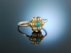 My lovely! Antiker Verlobungs Engagement Ring Gold 15 Kt Saatperlen Türkis um 1900