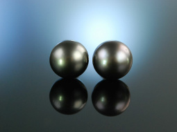 Big Grey Pearls! Tahiti Zucht Perlen Ohrringe Gold 585