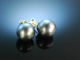 Big Grey Pearls! Tahiti Zucht Perlen Ohrringe Gold 585