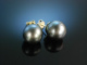 Big Grey Pearls! Tahiti Zucht Perlen Ohrringe Gold 585