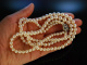 Classique Pearls! Edle 2reihige Akoja Zuchtperlen Kette Zierschließe Gold 585 Saphire