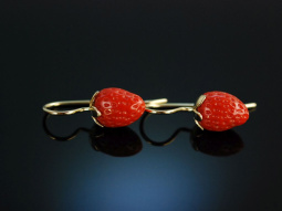 Coral Strawberries! H&uuml;bsche Erdbeer Ohrringe Gold...