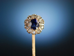 Sehr edel! Revers Krawatten Nadel Gold 585 Saphir Diamanten um 1900