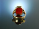 Zum Gravieren! Familien Wappen Siegel Ring Gold 333 Karneol