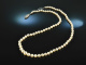 Around 1960! Classic Akoja cultured pearl necklace in gradient clasp gold 585