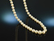 Around 1960! Classic Akoja cultured pearl necklace in gradient clasp gold 585
