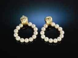Classy Pearls! H&uuml;bsche Akoja Zuchtperlen Ohrringe Gold 585