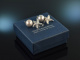 H&uuml;bsche Seesterne! Maritime Ohrringe Silber 925 graue Zuchtperlen