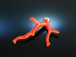 Aus dem Golf von Neapel! Gro&szlig;er Anh&auml;nger Ast...